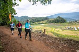 BIB: 1648
                            <button type="button" onclick="openModal(15998983)" class="btn btn-primary btn-sm float-right btn-popup" data-toggle="modal" data-target=".modal-high-quality">
                        <i class="fas fa-shopping-cart"></i> Add to Cart
                    </button>
                                            <button type="button" onclick="isThisMe(15998983, true)" class="btn btn-success btn-sm float-right btn-popup btn-isme hidden" data-toggle="tooltip" data-placement="bottom" title="นี่คือรูปของคุณใช่ไหม คลิกที่นี่เพื่อเอาเข้าอัลบั้ม">
                        <i class="fas fa-plus"></i> Add to album
                    </button>
                    <button type="button" onclick="isThisMe(15998983, false)" class="btn btn-warning btn-sm float-right btn-popup btn-isnotme hidden">
                        <i class="fas fa-ban"></i> Remove from album
                    </button>